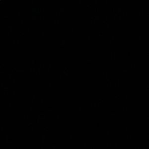 Meet your Posher, Camille